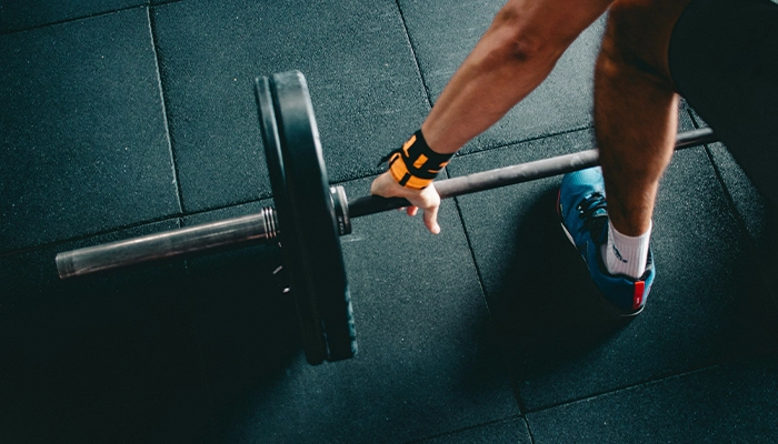 Adestramento en patoloxías